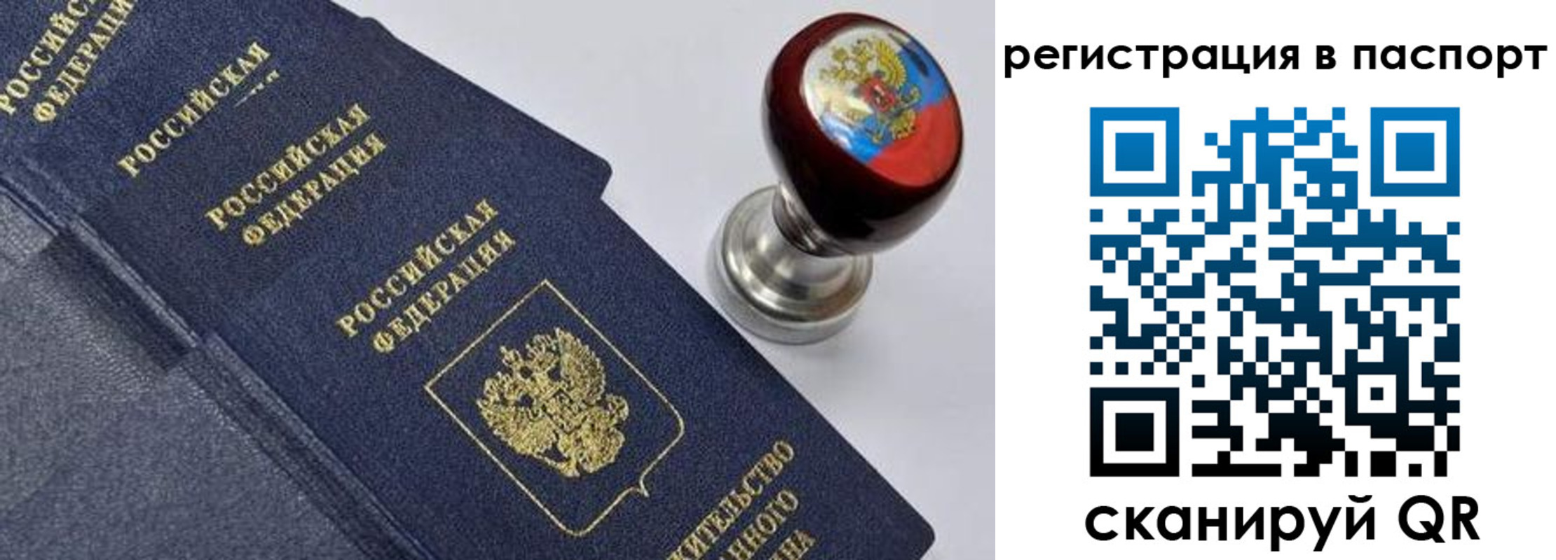 прописка поиск в Опочке